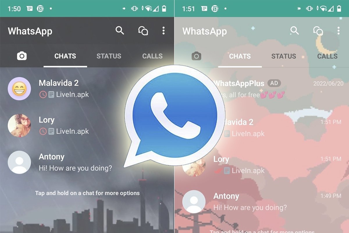 WhatsApp official rules update: How to avoid illegal use of group messaging apps